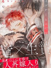 傻瓜 电影海报